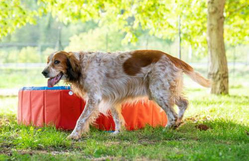Domus Laetitiae Santa Croce - Foto 12