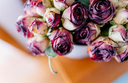 Portugal countryside retreat for remote workers and digital nomads - Foto 50