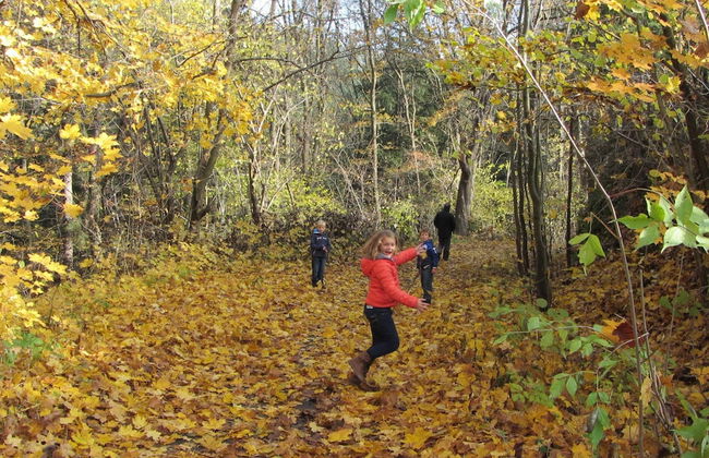 Holiday Home Stara Kamienica Near Ski Slopes - Foto 13