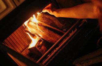 Miło las widzieć - Foto 14