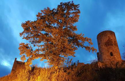 Wetterburg am Twistesee - Foto 34