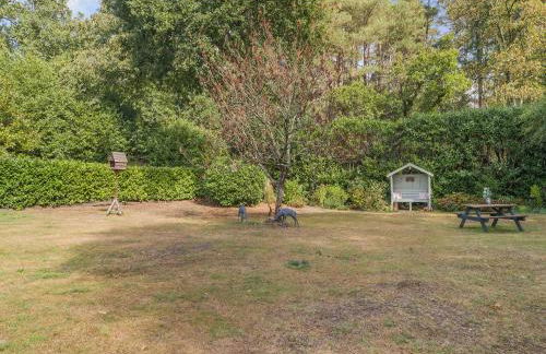 The Lodge - Uk50409 - Photo 20