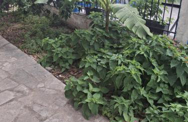 Kalyves holidays - Foto 30