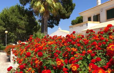 Algarve Albufeira, quiet apart with pool at 10 mn walk from Praia da Falesia - Foto 22