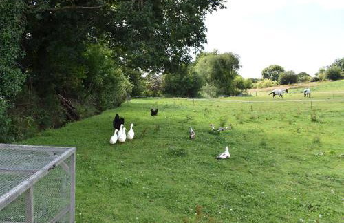 Glimsters Cottage - Photo 14