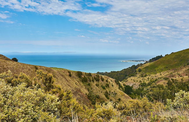 Great Ocean Walk Retreat - Foto 22