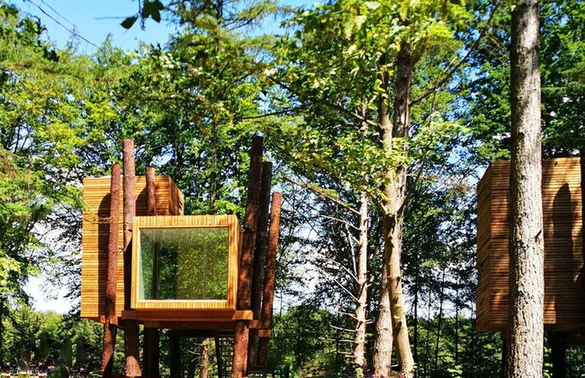 Luxury Tree Loft Tree Cabin for 4 People 4 - Foto 29