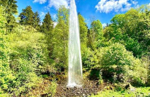 Ferienwohnung Vogel - Foto 14