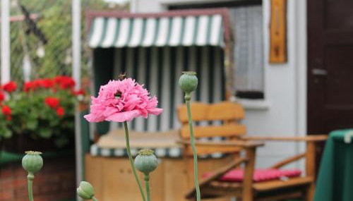 Ferienwohnung Rerik mit Eingezauntem Garten - Foto 3
