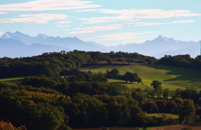 Gite Au Bouzigues - Foto 41