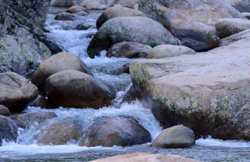 Abejas 2 de El Vergel de Chilla - Photo 30