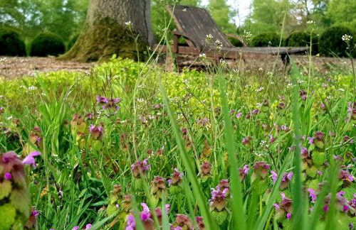 Holiday Home Luxuszeit zu Zweit by Interhome - Foto 28