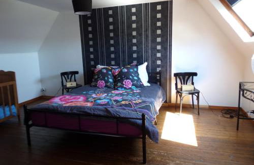 La ciboulette - Foto 12