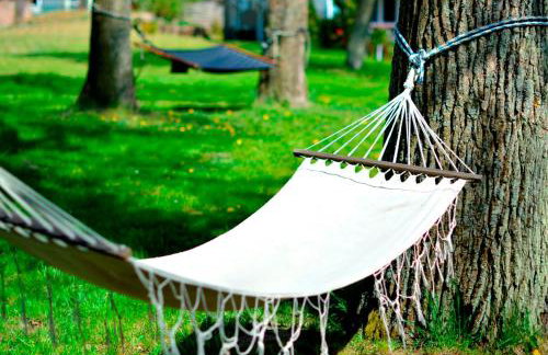 Babie Lato - Foto 27