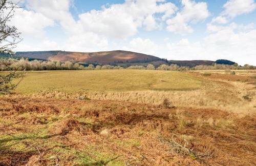 Hawthorn Lodge - Uk42546 - Photo 21