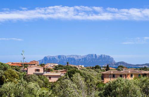 Rovo house, Pittulongu, Olbia, Sardinia - Photo 51