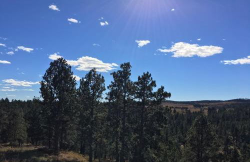 Priceless Black Hills View - Foto 27