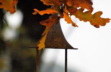 La Colombara - Fra i colli a 5 minuti dall'autodromo - Foto 37