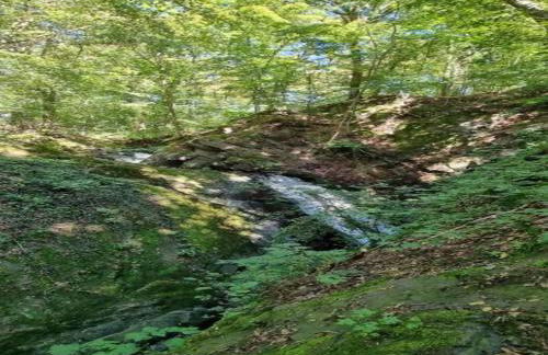 Harz-kurzurlaub in Lonau - Foto 60