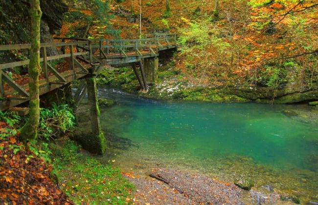 Tranquil Holiday Home in Kvarner with Hot Tub - Photo 38