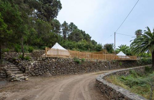 Monte frio de Tenerife - Foto 78