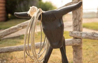 Saddlehorn Ranch - Foto 79