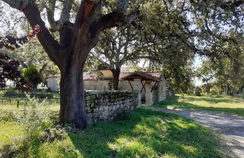 Casa da Vinha - Foto 7