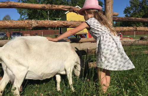 Wypoczynek na Mazurach U Sebka - Foto 37