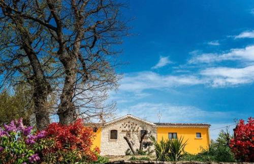 agriturismo Borgo degli Ulivi - Foto 27