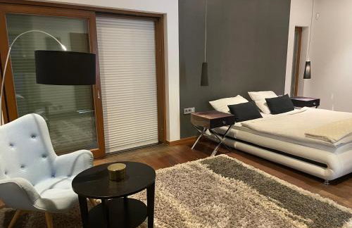 Willa przy lesie - Foto 12