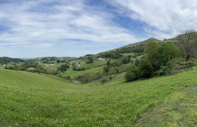 Belazkabieta - Foto 6