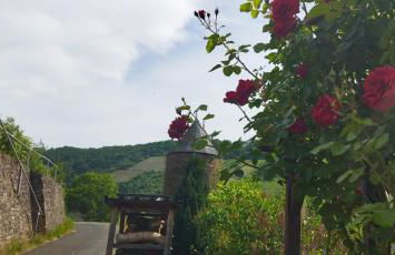 Casa Servatius - Foto 21