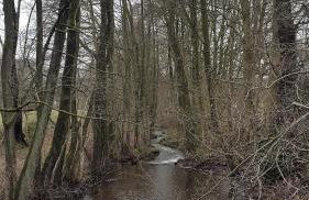 Beautiful condo with big garden - Foto 15