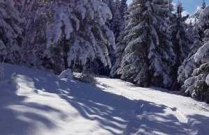 Holiday Home Kuća Ulaga - Foto 48