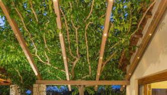 Villa Elva Nafplio - Foto 5