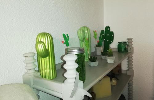 CAN CACTUS GARRIGUELLA - Foto 16