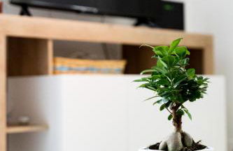 Spacious 3-Bedroom Apartment with Courtyard in Tempio Pausania - Perfect for Families - Foto 28