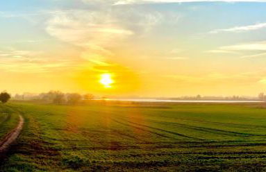 Familienferienhaus Rügenbrise - Gemeinsames Urlauben mit Steg auf Rügen - Foto 43