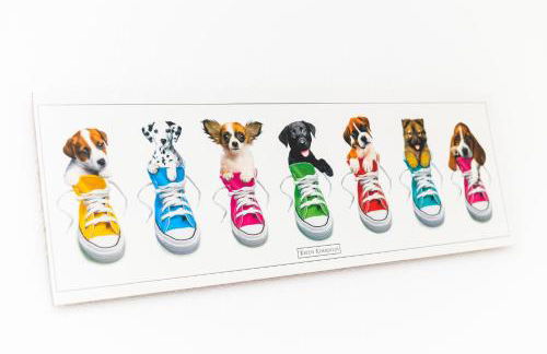 Ferienhaus Moorgeist - Photo 28