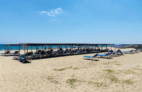 Golden Reddis - Photo 42