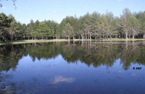 Casa Rural Lahuerta - Foto 41