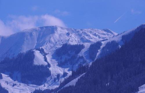 Ferienhaus in Wittenschwand - Foto 28