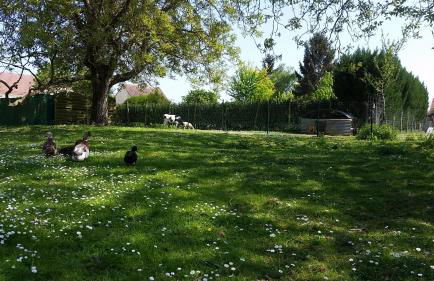 La Ferme de Flo' - Foto 6