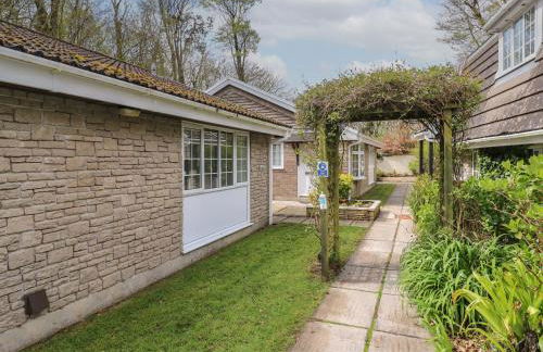 Badger Sett in Granite Henge near Looe - Foto 2