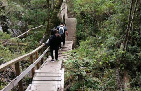 Senderismo por el Parque Nacional Alerce Andino - Foto 8