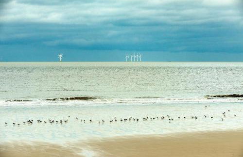 Dog Friendly Lovely Caravan by Beach Prestatyn N Wales 6 Berth Read full Host details before booking Mon in to Fri out Fri in to Mon out Mon to Mon Fri to Fri ONLY - Foto 31