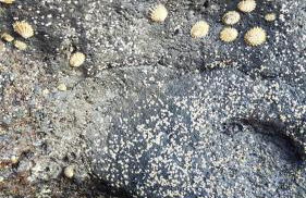 Casa La Caracola - Photo 4