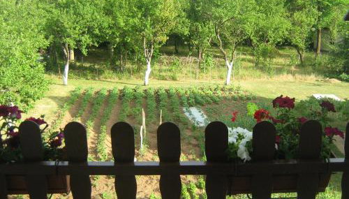 Apartment Jopa - Foto 3, Garden view