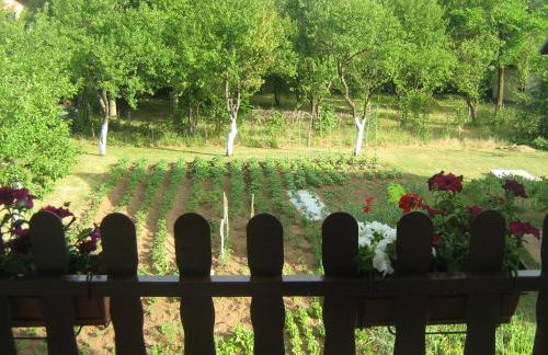 Apartment Jopa - Foto 3