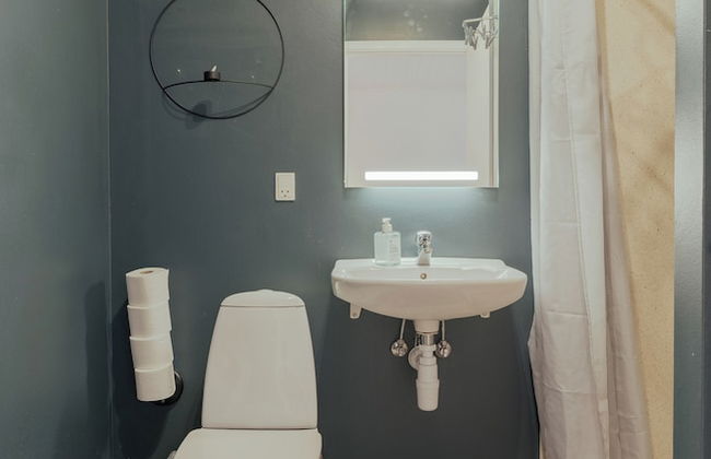 Downtown / Newly Renovated 2 Bedroom Apartment - Foto 23